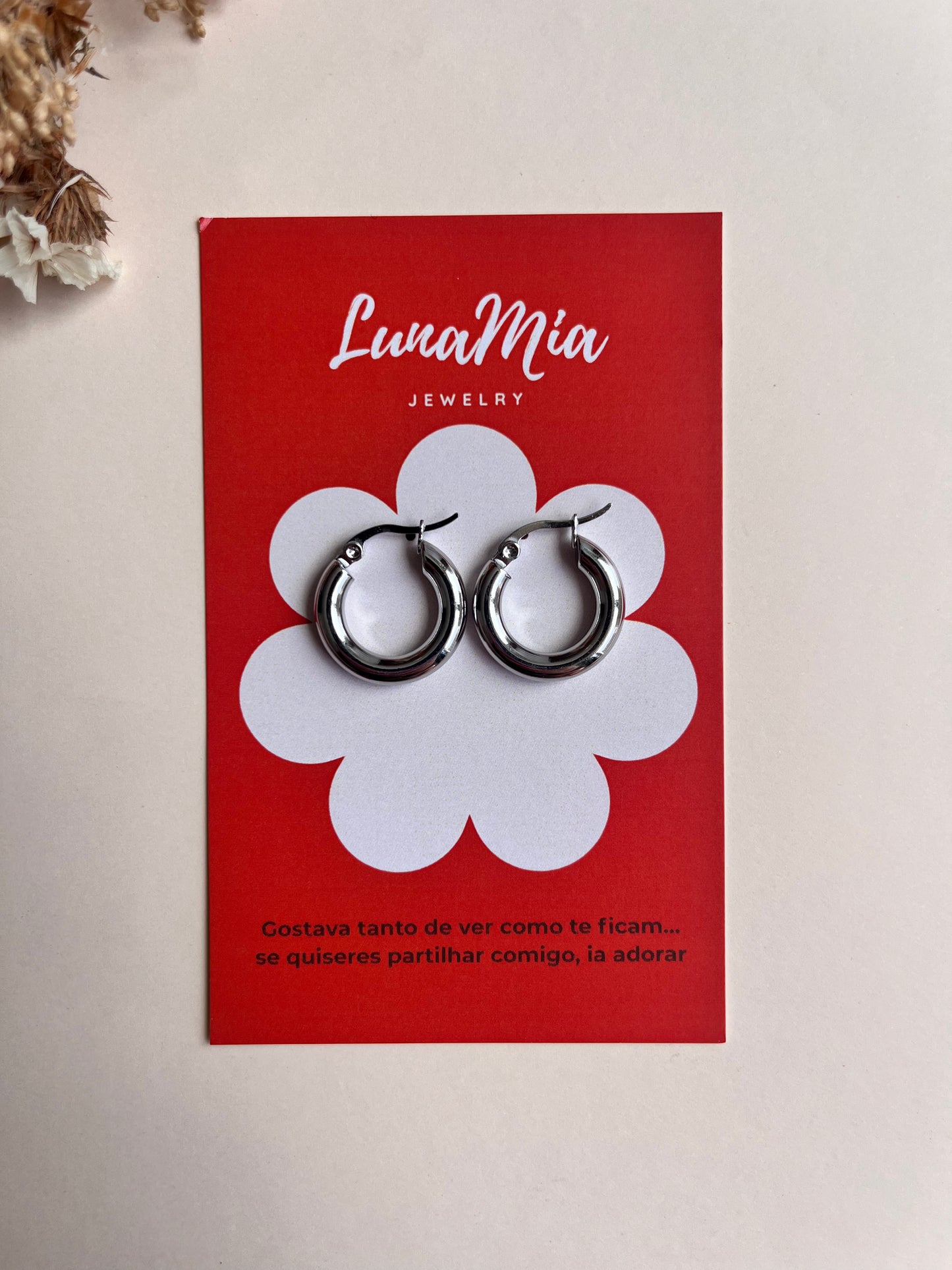 Argolas Lua Prateadas
